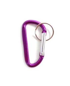 Basic Carabiner Keychain