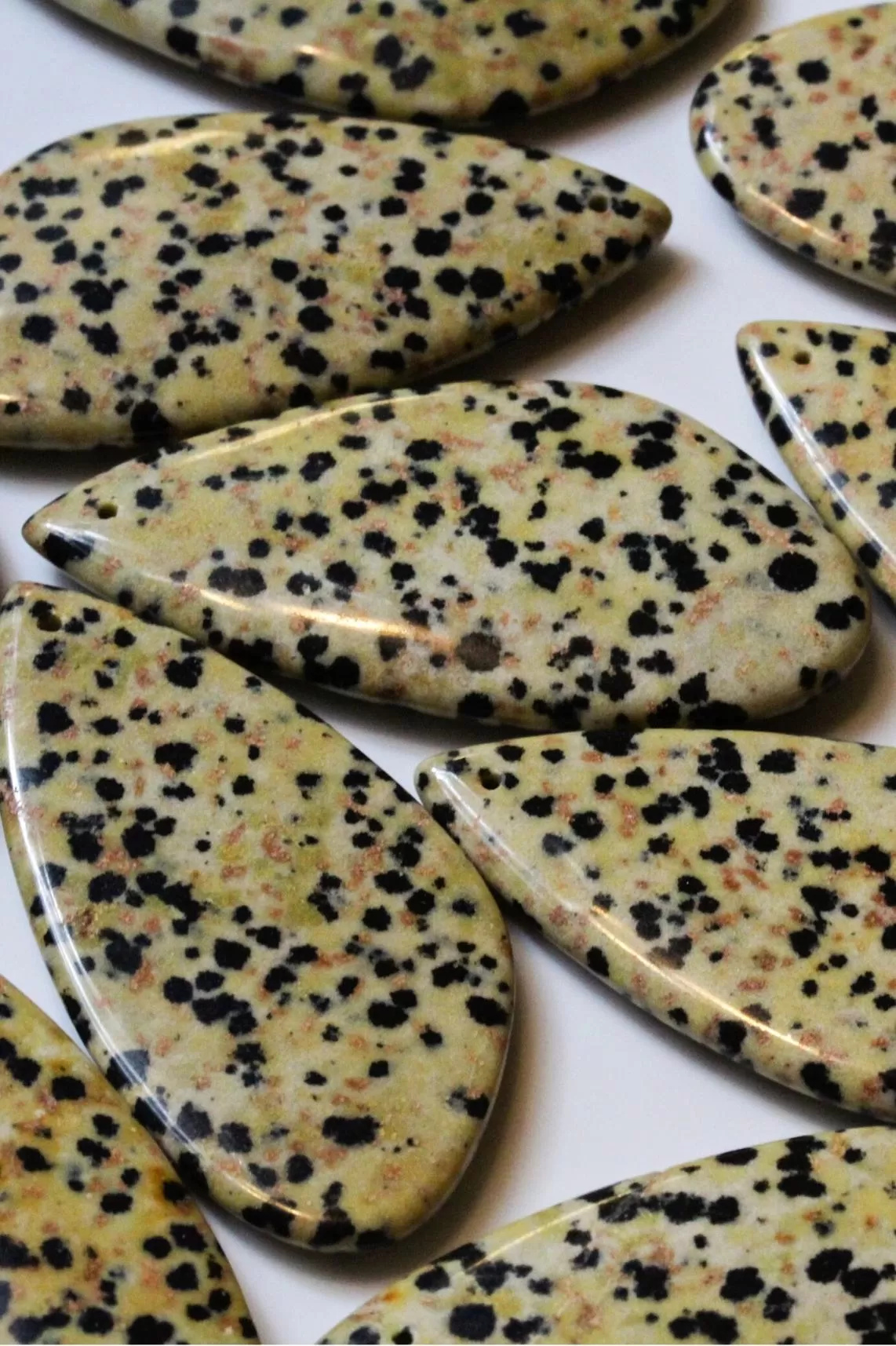 Dalmatian Jasper Touchstone Necklace for Glee