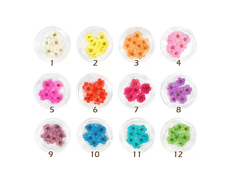 Dried Five Petal Flower Nail Art Decoration