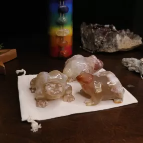 Flower Agate Frog Carvings ~ Gentle and Uplifting Energy