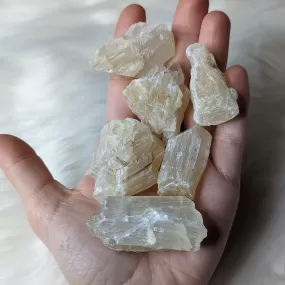 Golden Honey Calcite ~ Raw Set of 6