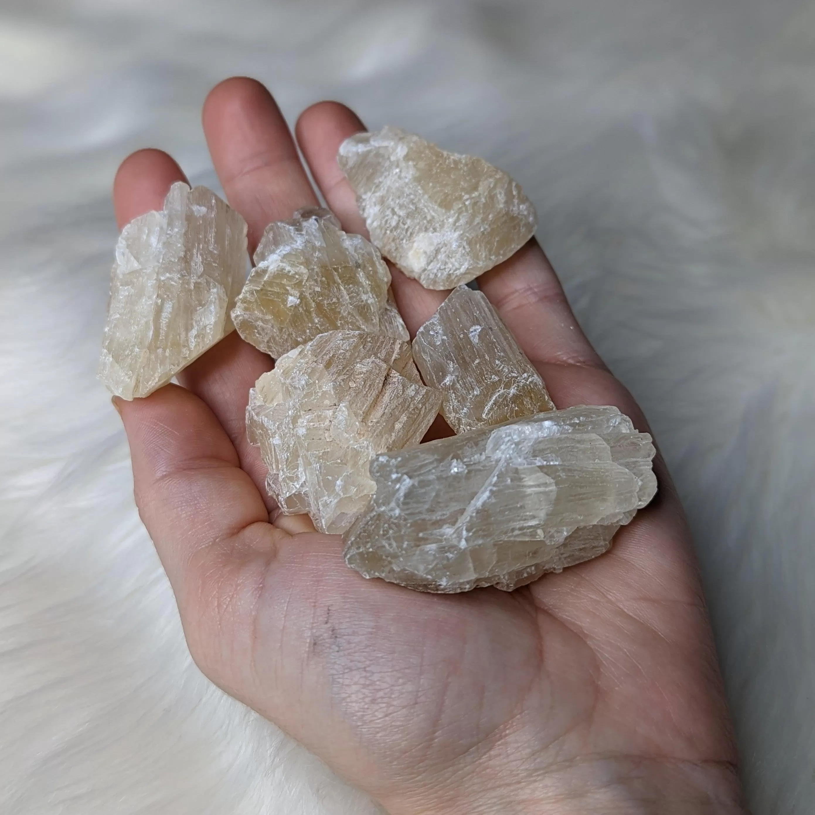 Golden Honey Calcite ~ Raw Set of 6