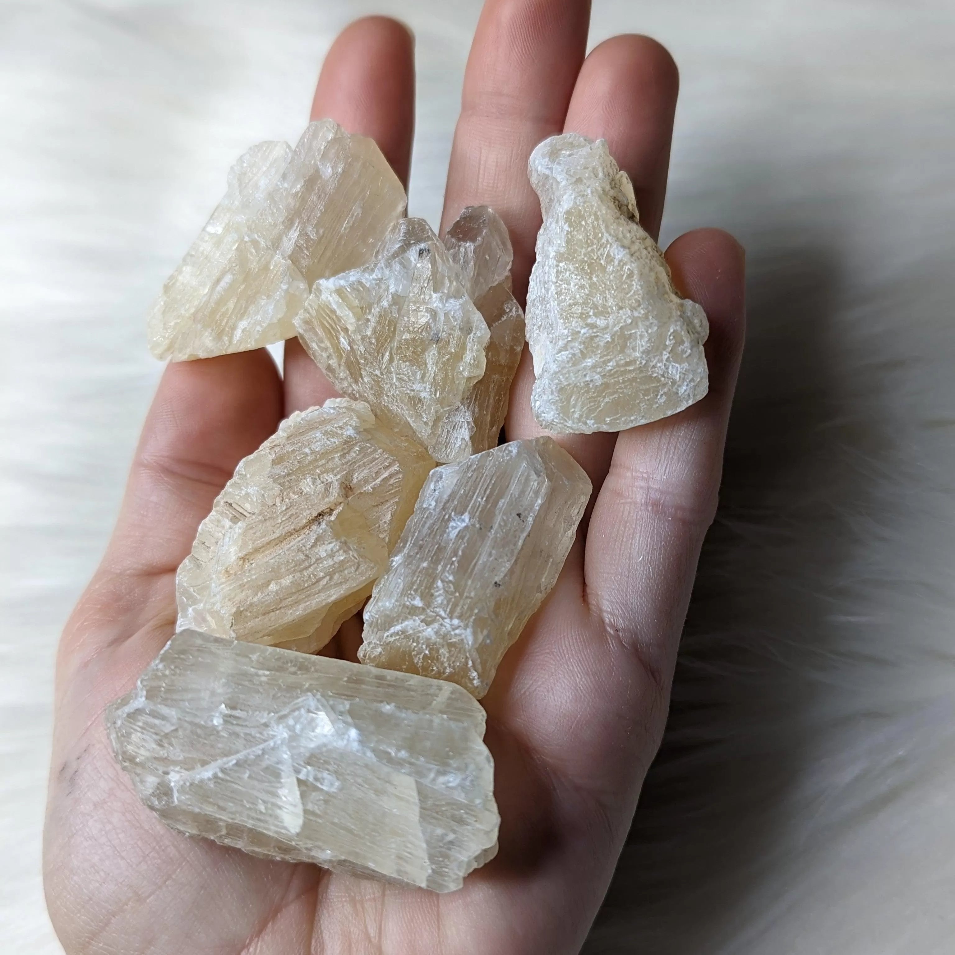 Golden Honey Calcite ~ Raw Set of 6