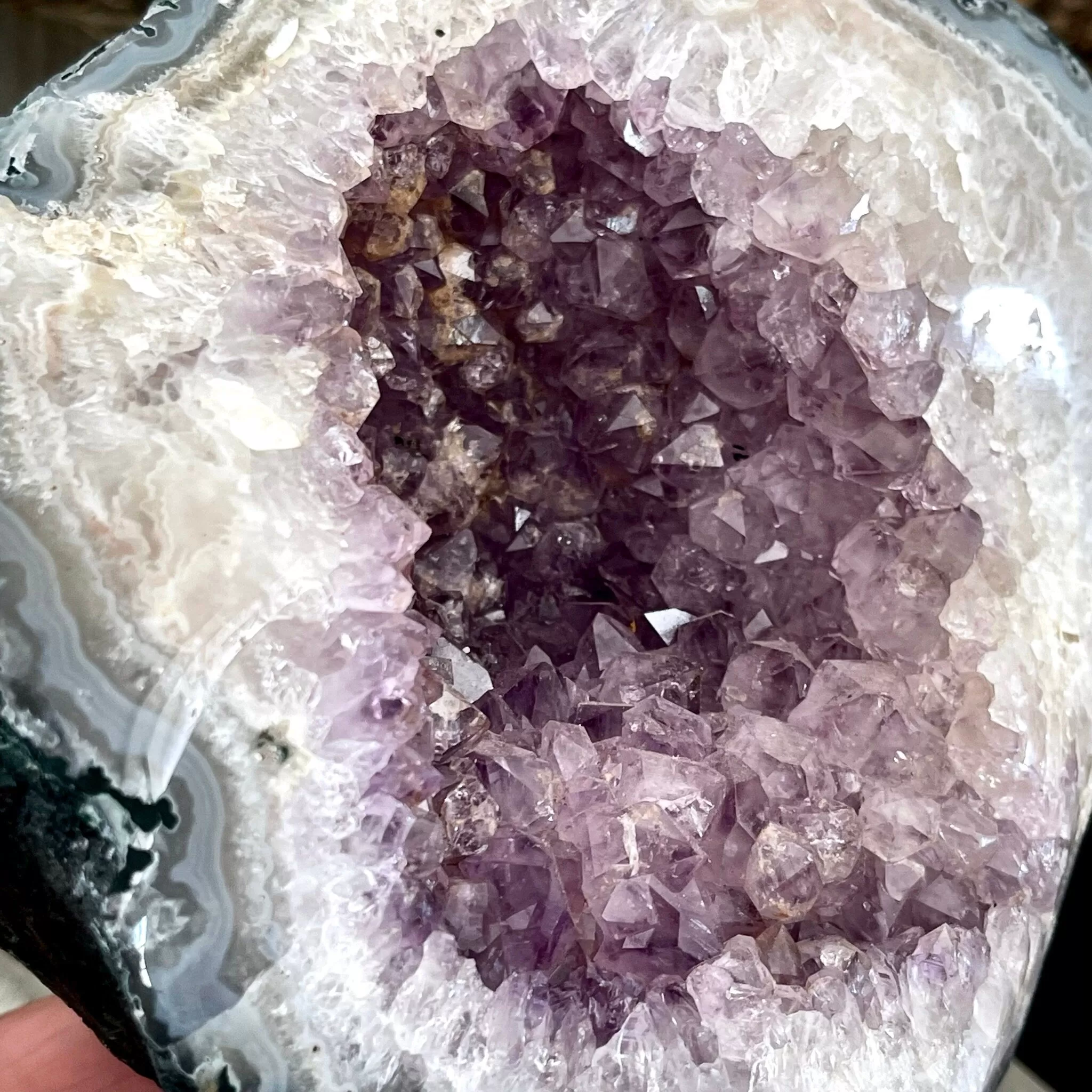 Large Purple Amethyst Crystal Druzy Geode With Stand / FoxlarkCrystals