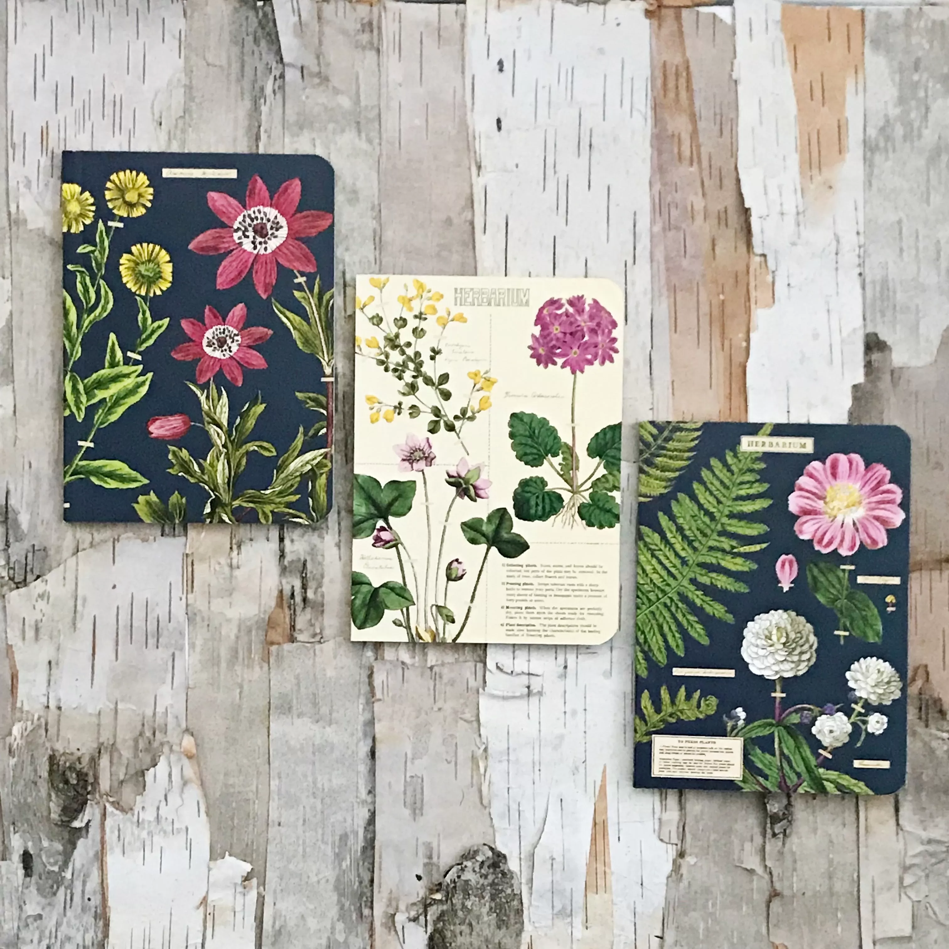 Mini Notebooks Cavallini