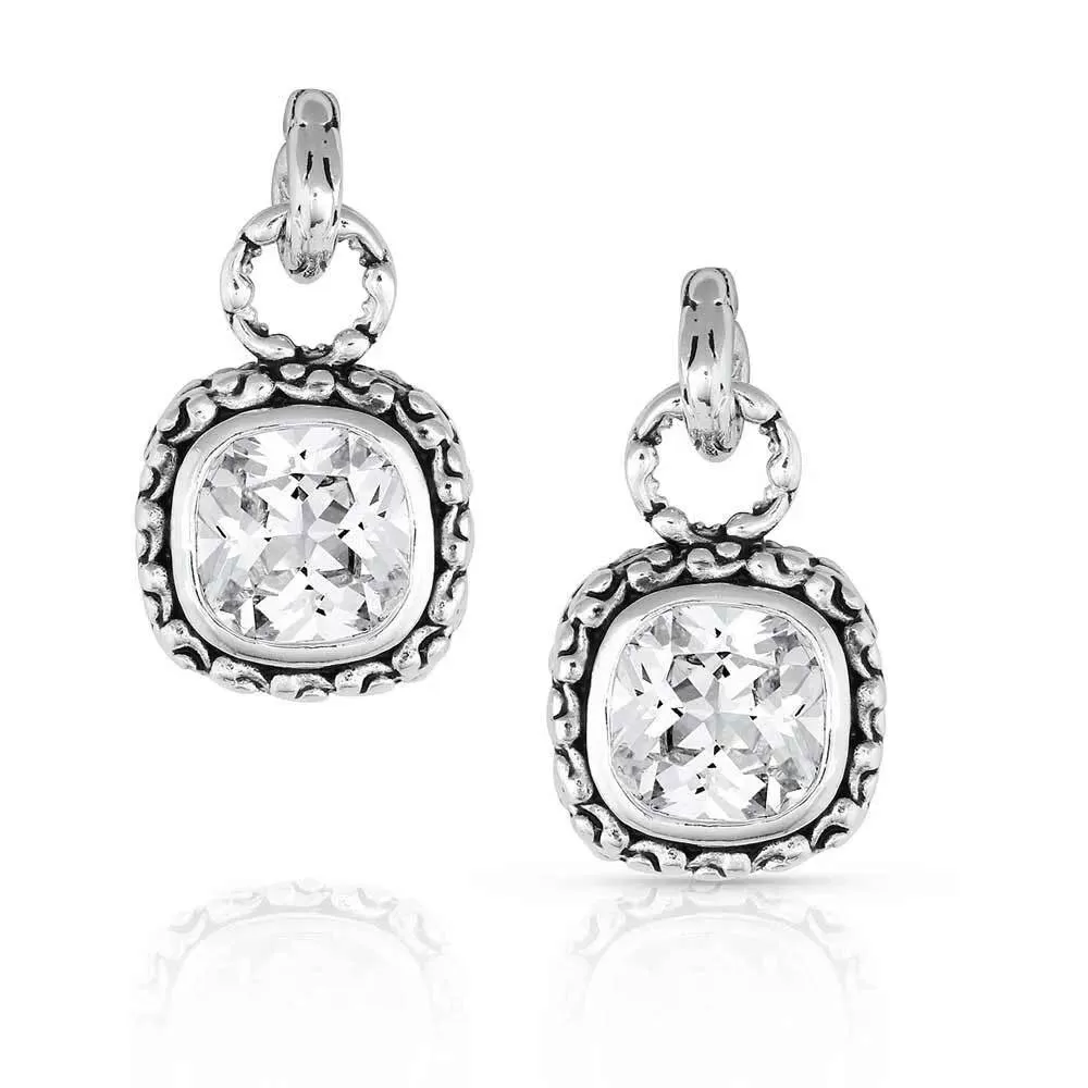 Montana Silversmiths Western Delight Crystal Earrings