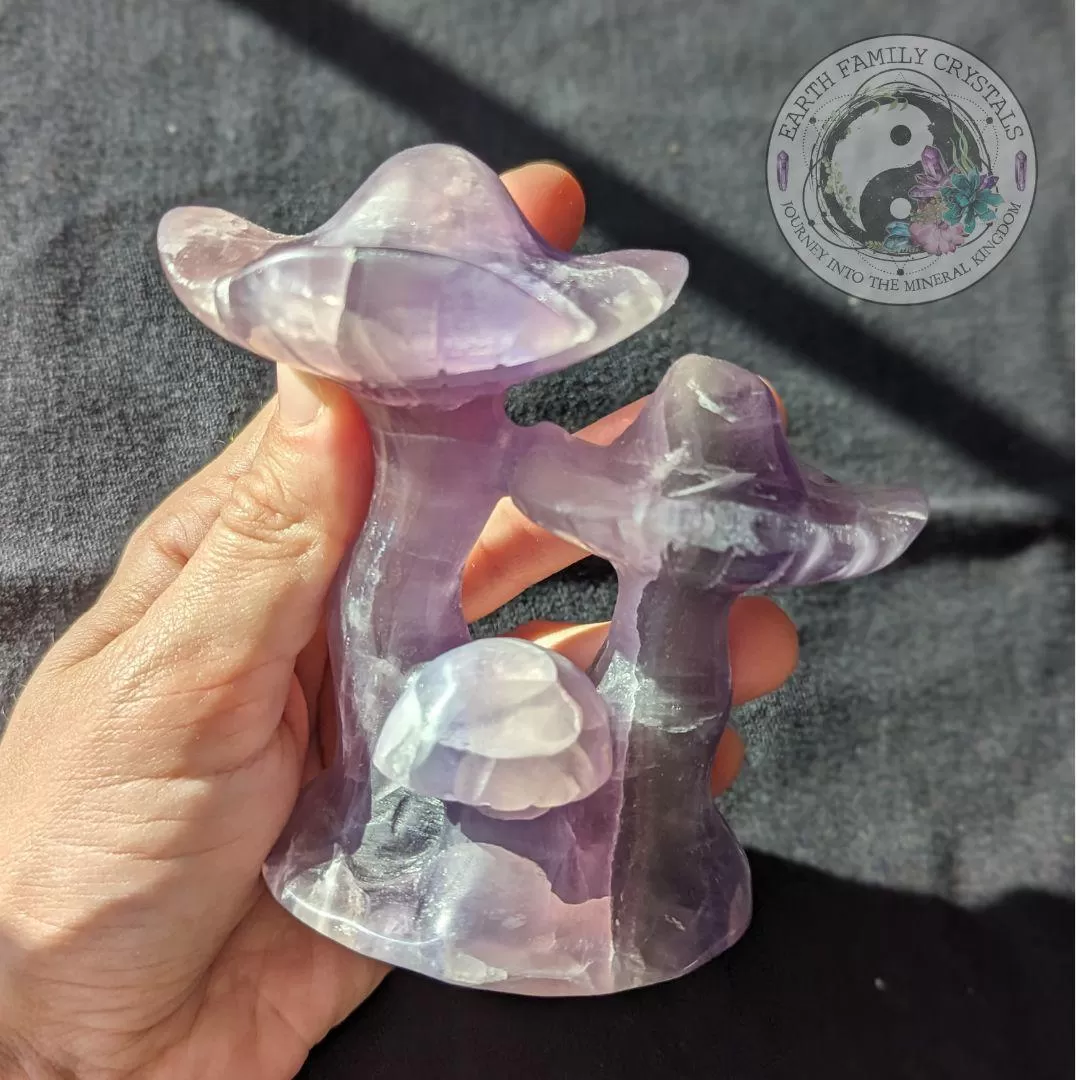 Rainbow Fluorite Mushroom Carving ~ Magical and Whimsical Crystal Carving