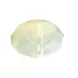 Swarovski 8mm Briolette Bead - Sand Opal (10 Pack)